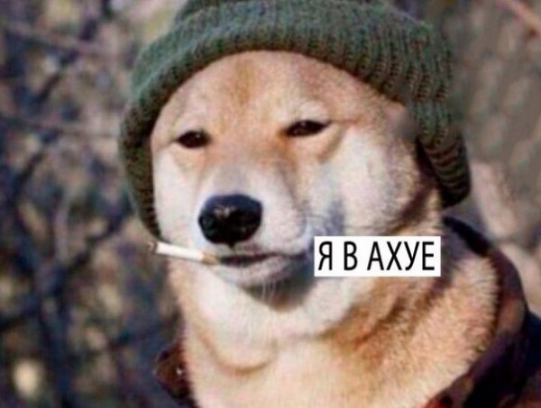 Я на этой неделе