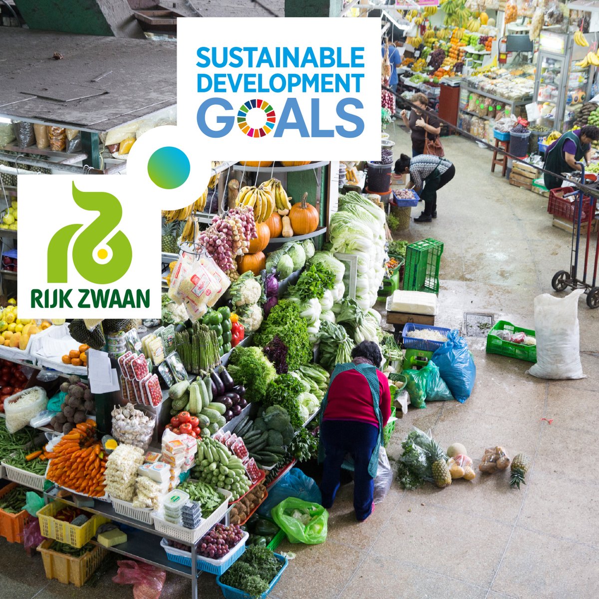 STORY - The World Vegetable Center strives to tackle poverty and malnutrition by boosting vegetable consumption. How? By boosting production and consumption of nutritious vegetables:  bit.ly/2Monxsl 

 #SharingaHealthyFuture #SDG17 #GlobalGoals