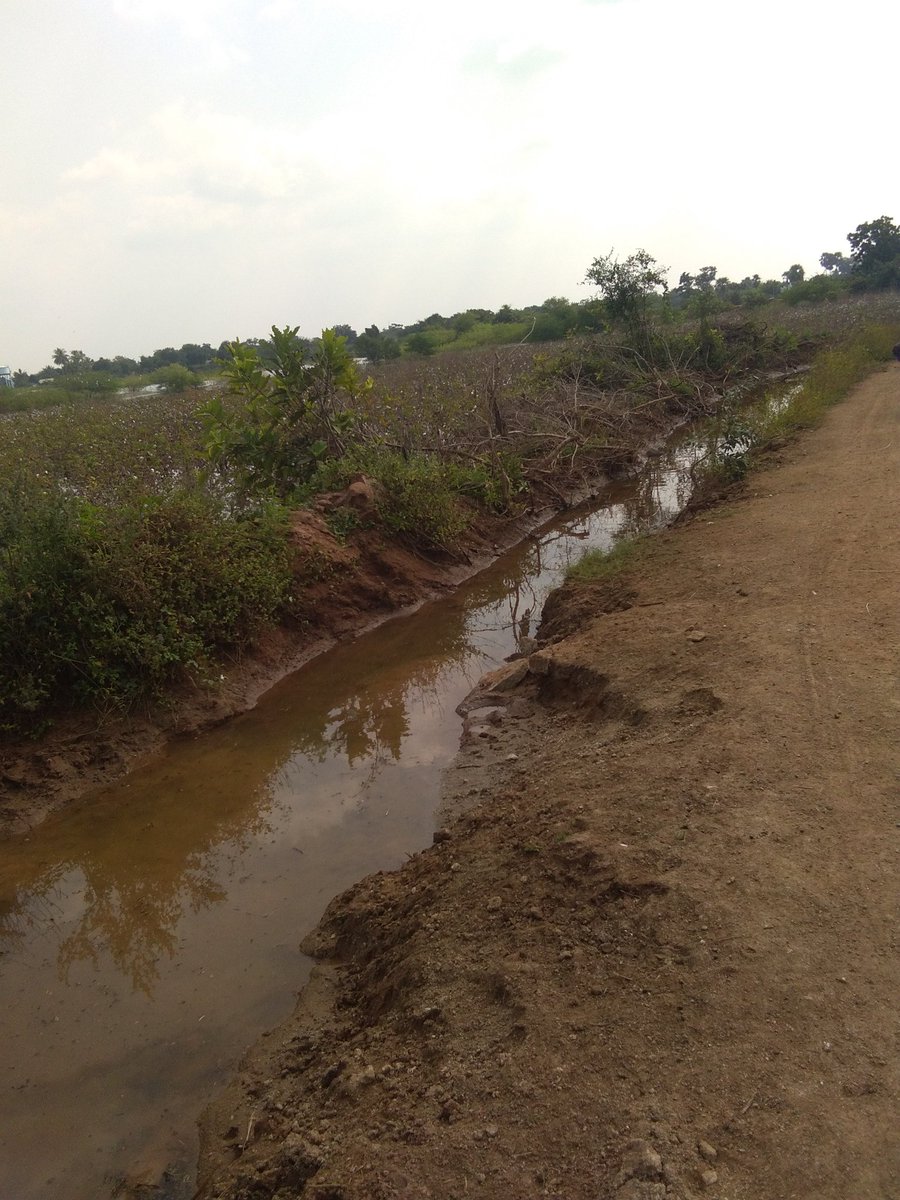 gsdheeraj's tweet photo. @KTRTRS Thank u Sir for supplying the water through this channel. Water came to our village:G Kottapally,Mdl:Maddirala,Dist:Suryapet for a short duration but stopped 3 days back. 20% of the village cud get water. Request your intervention for sustained water supply. @gvrao98 https://t.co/nhZhFPjXGL