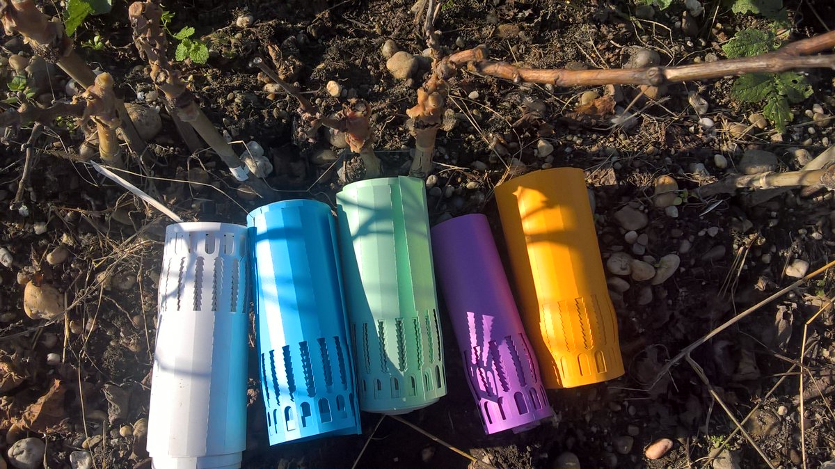 INRAE_UEVB's tweet photo. Préparation plants de notre pépinière #complantation
#greffadapt
@UMREGFV https://t.co/hXPYTY2QLa