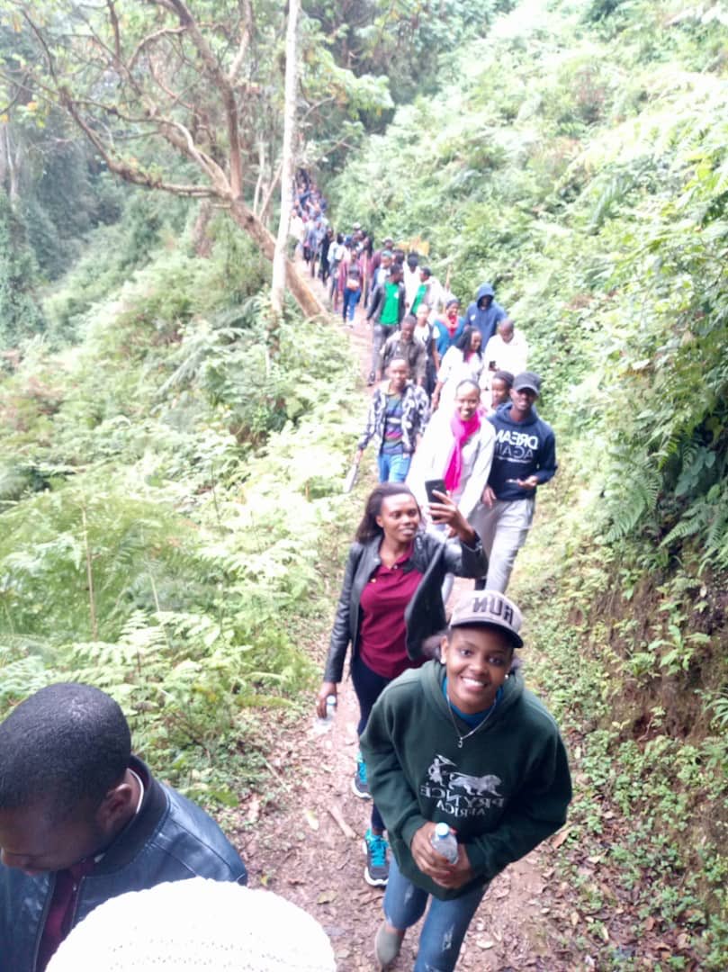 Ishejatours1's tweet photo. Nyungwe forest is among the best areas to visit in Rwanda with canopy walk,amazing species of birds,kamiranzovu water fall and many more beautiful animals.#VisitRwanda @RwihimbaC @AkageraPark @NyungwePark @RDBrwanda @cakamanzi @NoelKambanda https://t.co/n7JFM2HY2k