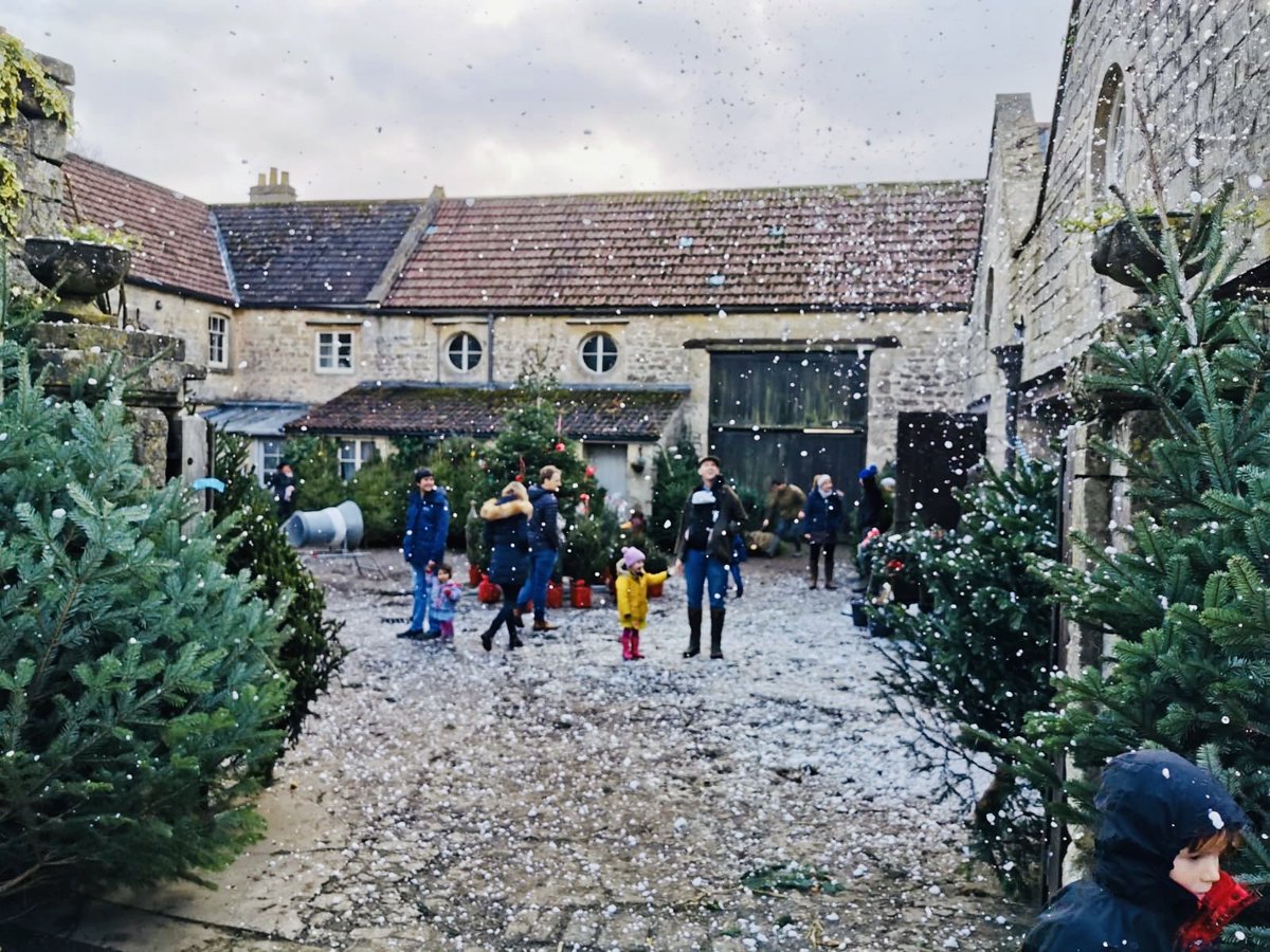 Rainbowwoodfarm photo