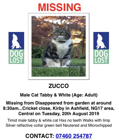 🆘 PLS RT for Lost Cat ZUCCO - Male, Tabby/ White who walks with a limp & has NO teeth. MISSING since Aug 2019 Disappeared from garden, Cricket Close, Kirkby-in-Ashfield NG17
Silver reflective collar green bell ☎️ 07460 254787 #LostCat #KirkbyInAshfield #AnnesleyWoodhouse #NG17