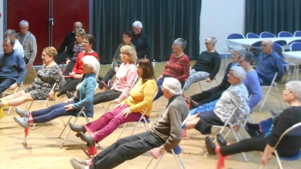 AINESRURAUX's tweet photo. la CRECHE 300 seniors ont participé à la journée d’information et de prévention intitulée « Mes articulations, comment faire de vieux os ? » préparée par l’Association gérontologique du sud Deux-Sèvres https://t.co/pB5ORpcdDq https://t.co/XoQAnijpIr