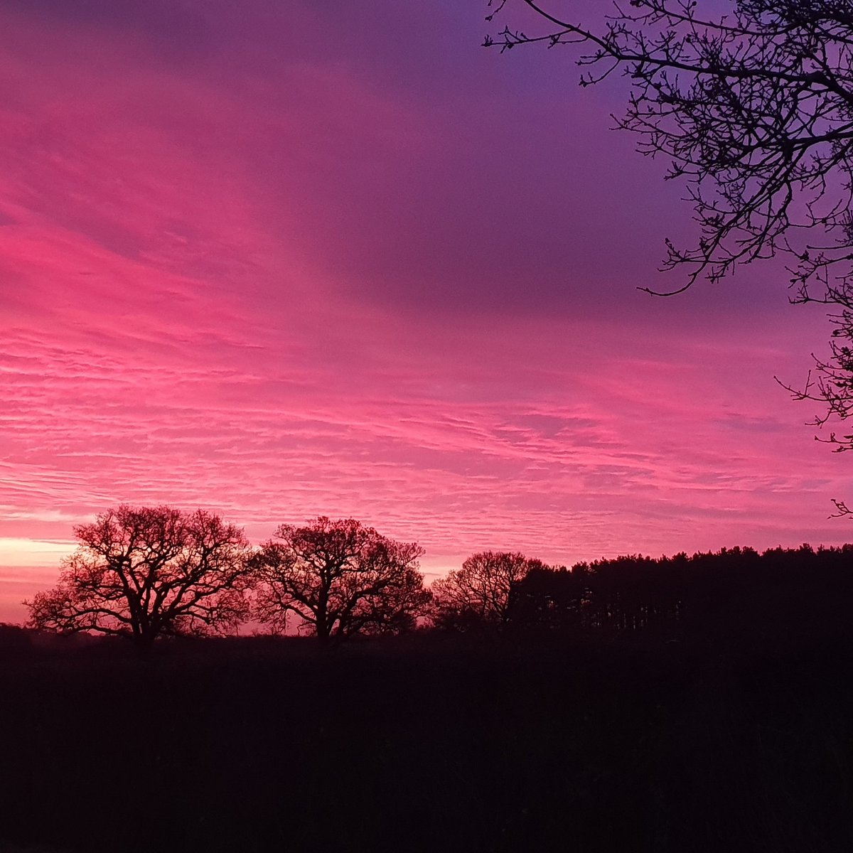 Aligned_Minds's tweet photo. What a beautiful start to this #tuesday morning. Have a good day everybody! #mind #mindfullness #wellness #selfcare #december #mentalhealth #tuesdaymotivation #tuesdaymorning #tuesdaymood #wellbeing #inspired https://t.co/OpmAp6CFxU