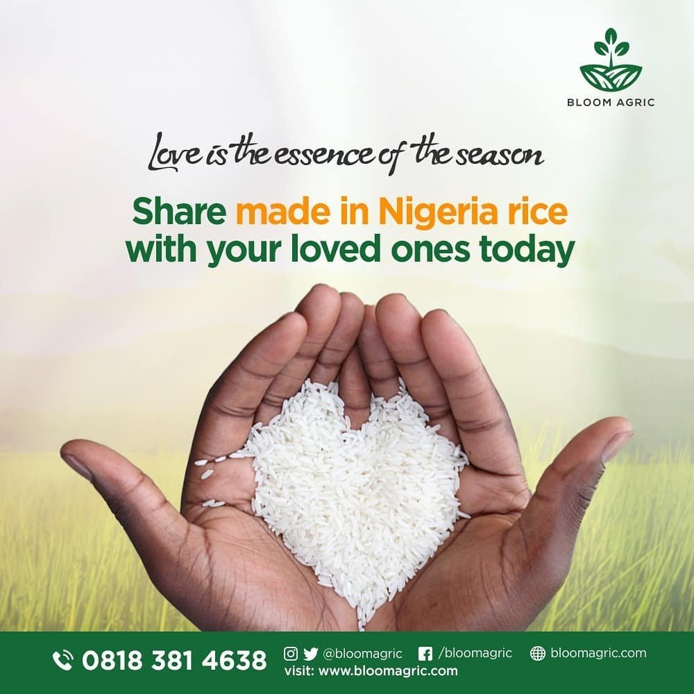 BloomAgric's tweet photo. The Season of Love is around the corner.  Let's show some love to our families and friends. 
We deliver premium Made in Nigeria rice to your loved ones. 
Call 08183814638 or visit https://t.co/RIhsHwLKkj to place your orders now
#Decembervibes #agriculture #madeinnigeria https://t.co/jyxod6JUH9