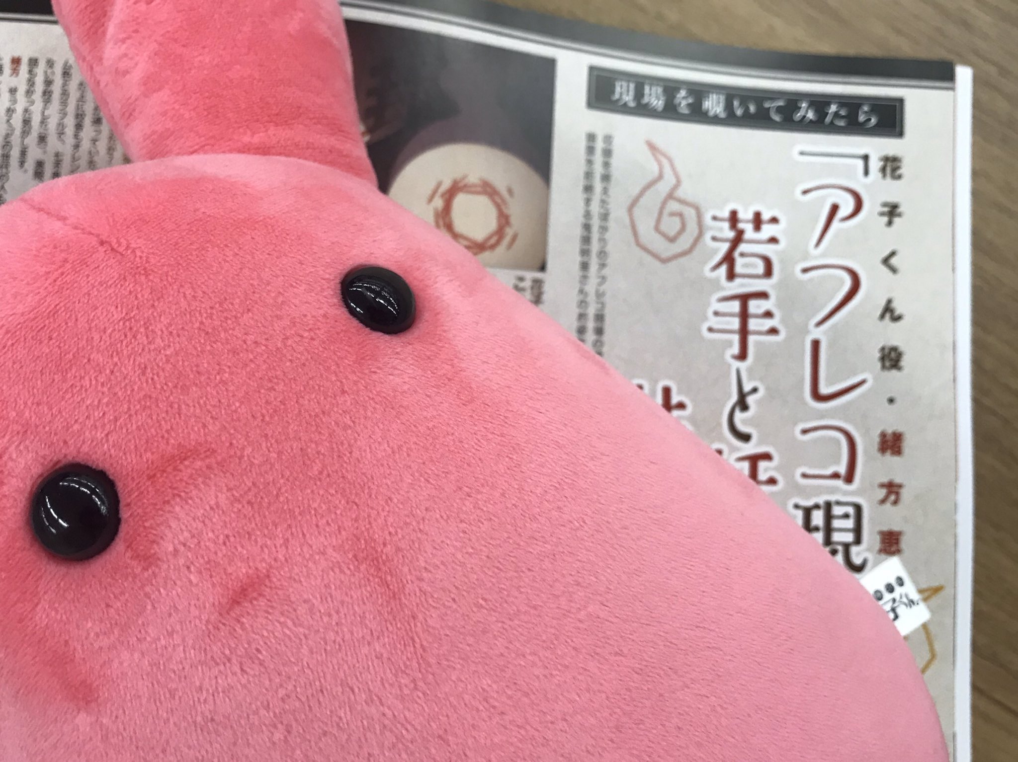 髪結ちゃん•飛行機雲とお花ちゃん　PSA10連番 地縛少年花子くん」公式 on X: 