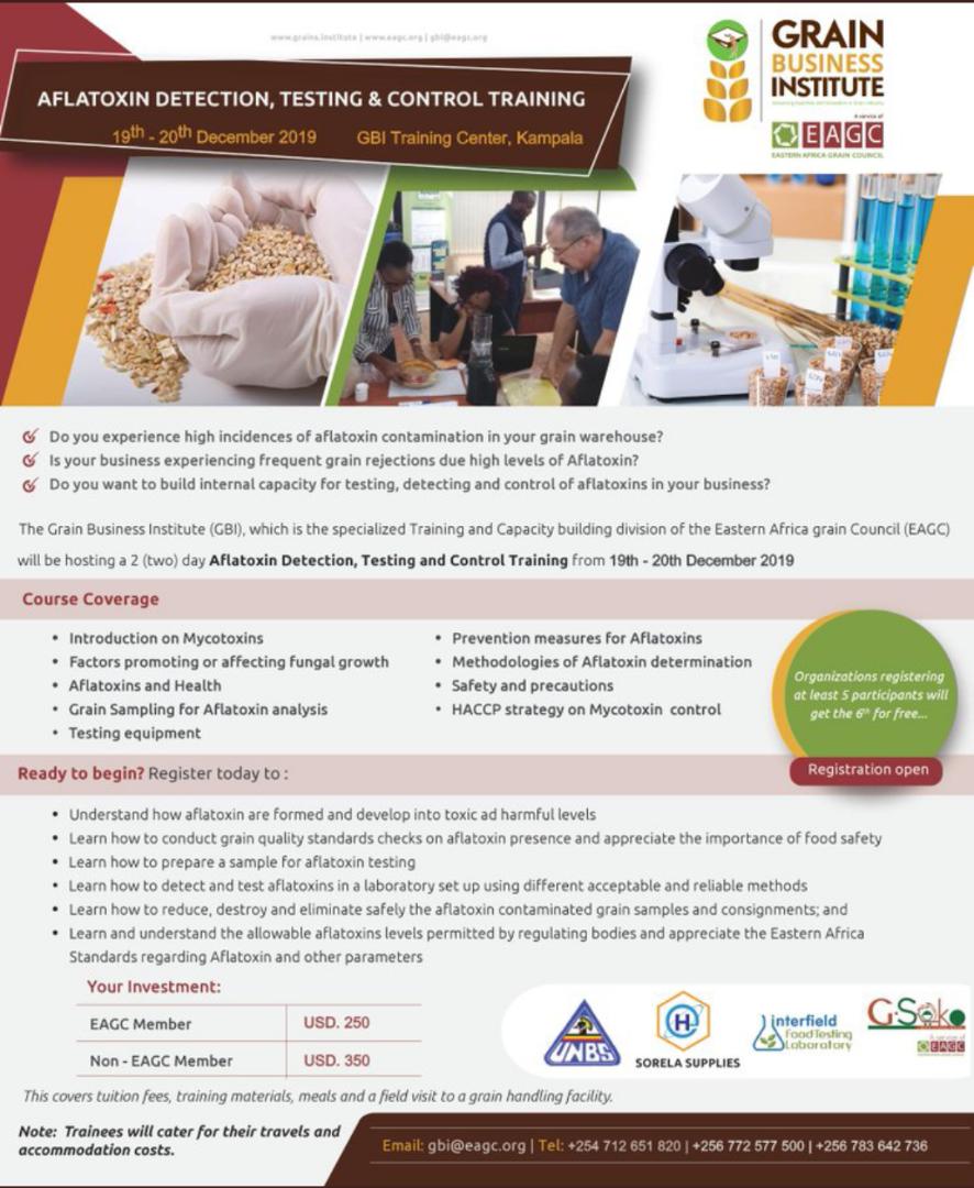 PaustaClessy's tweet photo. Between August and November 2019 alone, Uganda lost 169,000MT of maize in terminated Trade contracts valued at USD 55.4Million due to Aflatoxin contamination
Join us at the @Grain_Institute as we built your capacity to detect, test, & Control Mycotoxins in Grains https://t.co/fgfBmkXzMz