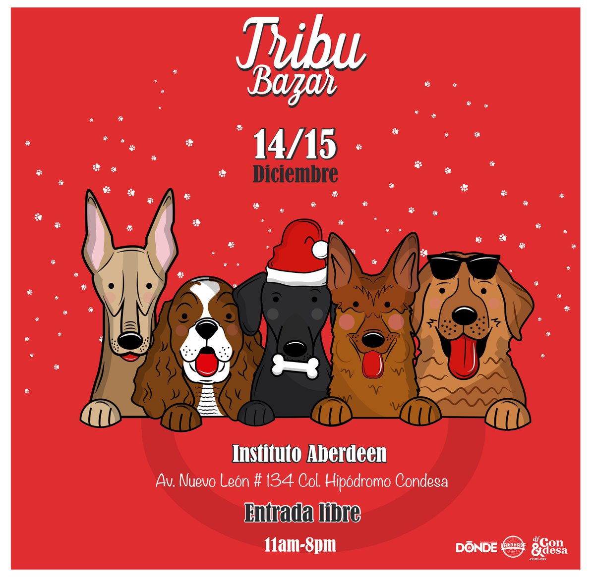 TribuBazar's tweet photo. #Tribubazar trae la #navidad para los sin voz. Te invitamos a que juntos logremos un acopio para apoyar a los perrunos que viven en albergues y entre todos hacerles una linda navidad!. 

La cita es este 14 y 15 de Diciembre en el Instituto Aberdeen ubicado en Av. Nuevo León #134 https://t.co/SQppXu9srY
