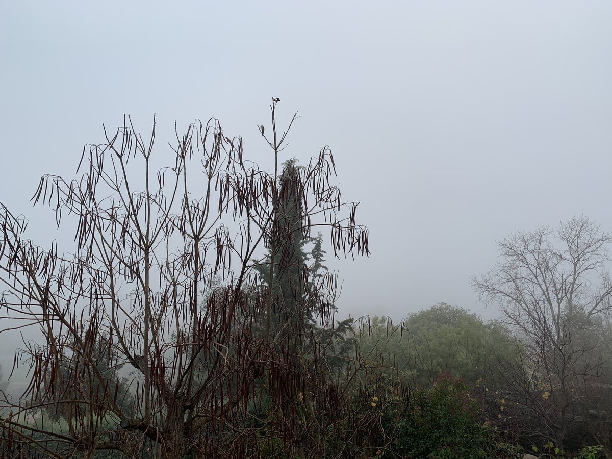 CITRIX Friday... and is Tuesday but the fog makes a huge traffic rush!!!!

The best solution for #smartworking in the world.