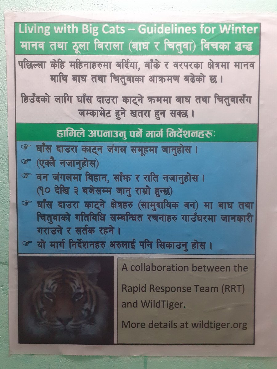 Winter guidelines for human and big cat coexistence in Nepali. More wood is collected from forests in the cooler months increasing the opportunities for conflict.  Following simple guidelines can reduce the risk. English versions and other details at wildleopard.net