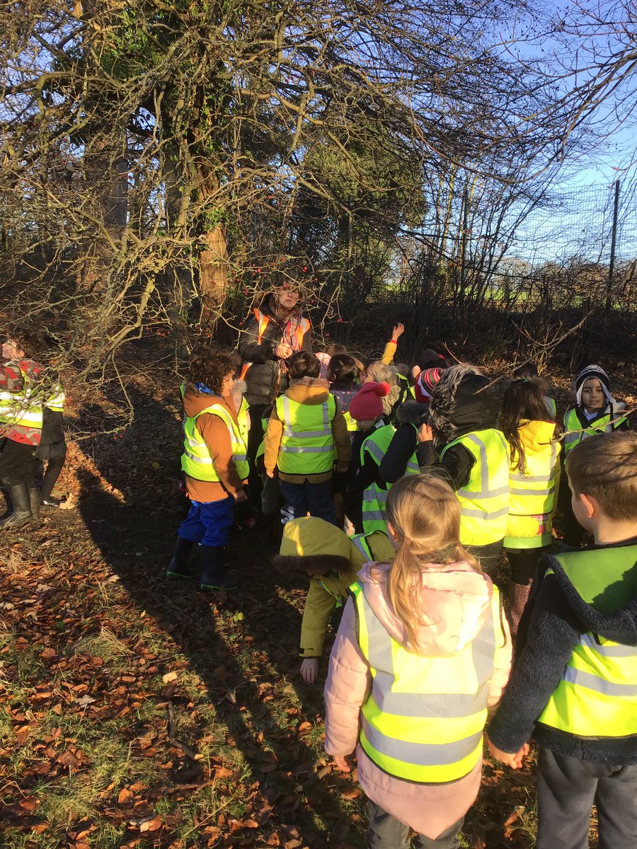 1FB had a great time yesterday doing Forest School! We have been learning how to tie knots and homework from Mrs Goldsborough is to learn how to tie shoelaces. #WeAreRoundhay #strengthofcharacter