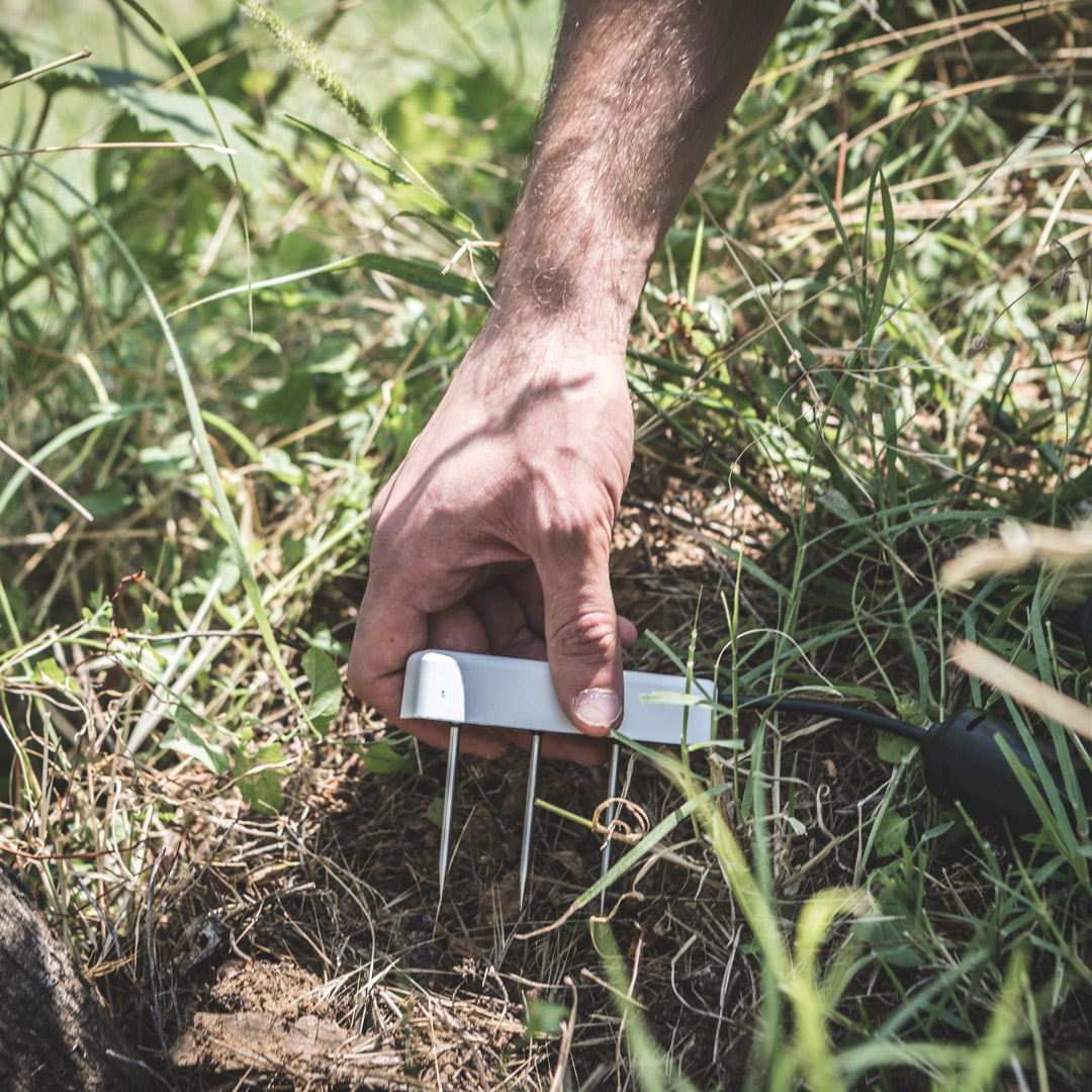 helloxfarm's tweet photo. Soil temperature, humidity and conductivity under control with our #xNode combined with the Teros 12 sensor! 🌡️💧
#xFarm #IoT #InternetOfThings #agriculture #agtech #digitalfarming #agsensor #precisionfarming
@METER_Group https://t.co/JsGpVkEhvp