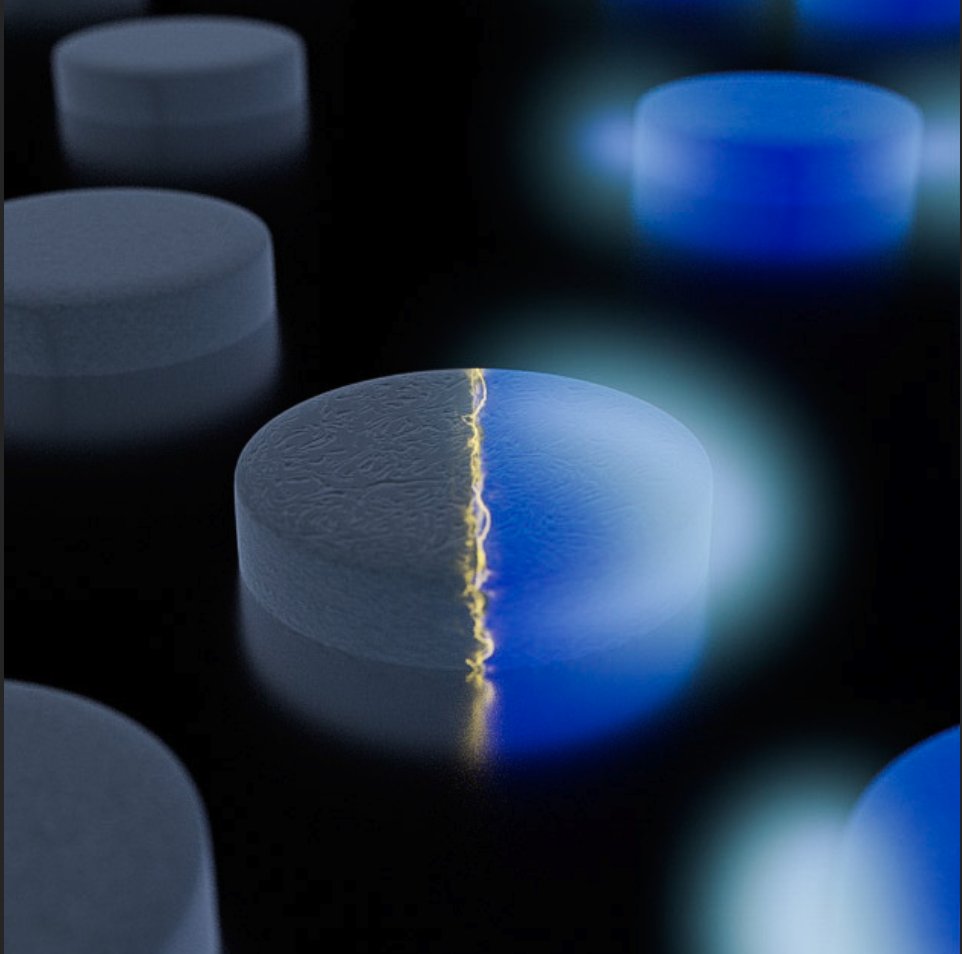 Check out our new study on "Conductive polymer nanoantennas for dynamic organic plasmonics" by <a href="/Shangzhi_Chen/">Shangzhi Chen</a> et al. <a href="/NatureNano/">Nature Nanotechnology</a> <a href="/liu_universitet/">Linköpings universitet</a> <a href="/LOE_at_LiU/">Lab of Organic Elec.</a> <a href="/AFM_LiU/">Advanced Functional Materials</a> <a href="/ConceptualizedT/">Conceptualized.tech</a> 
nature.com/articles/s4156…