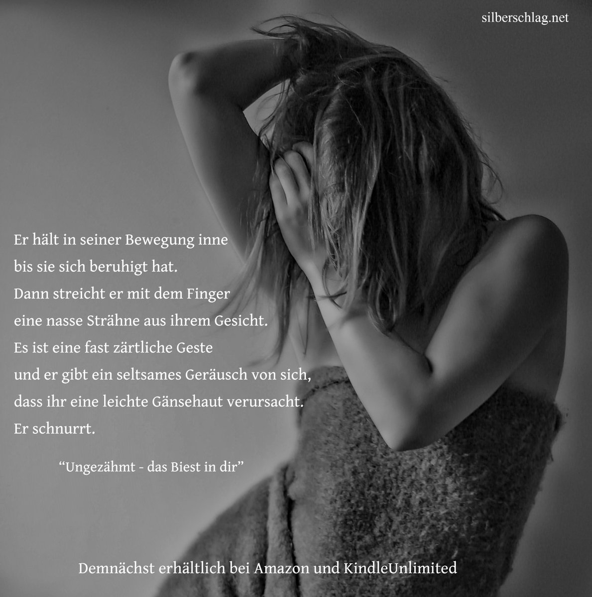 #amazon #kindleunlimited #silberschlag #nanowrimo2019 #neuerscheinung #schnipsel