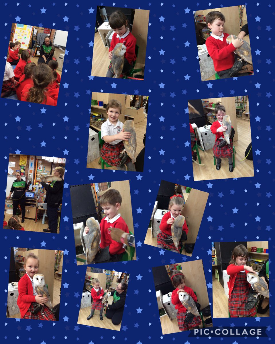 ClassRAspull's tweet image. What a magical morning we have had! Thank you so much to Sam and Freda for bringing in their owls and a hawk to meet Class R! We have learned so much about Owls and birds of prey...some of us were brave enough to have a hold too! #eyfs #acpseyfs #eyfstheworld