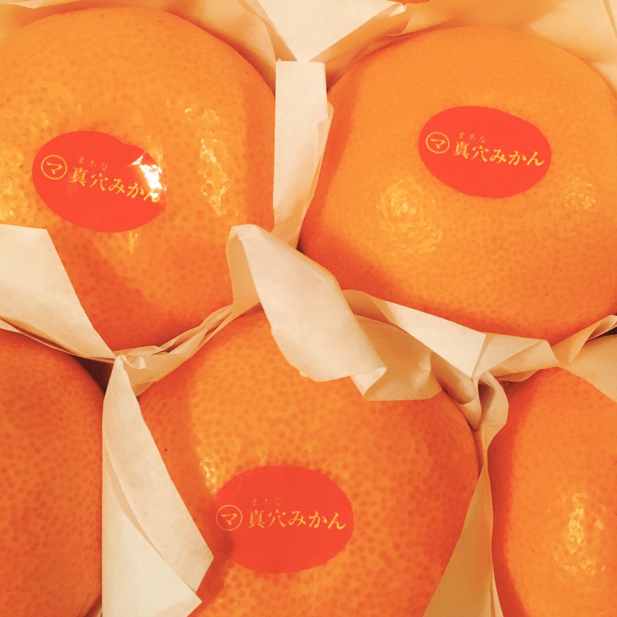 俺 たち の ミカン