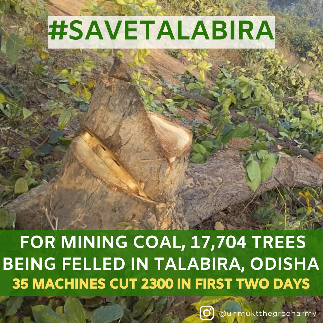 #SaveTalabira @Naveen_Odisha  @moefcc  @PrakashJavdekar  @PMOIndia @narendramodi  stop this massacre. #saveourforest @UNEP