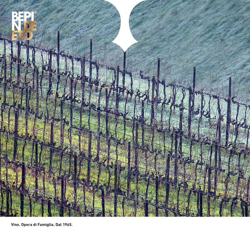 ❄️🌬 L’inverno sta arrivando anche tra le colline di #Conegliano e #Valdobbiadene. Qui dove il paesaggio è incanto e realtà, dove tutto evoca volontà e determinazione, i vigneti autoctoni ed internazionali hanno trovato un microclima ideale: bit.ly/33Y7HvO #BepinDeEto