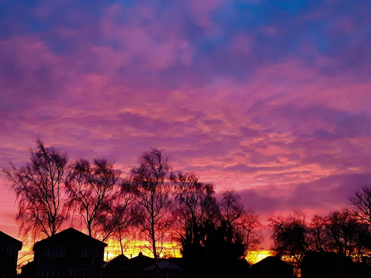 Christine Mitchell tweet media