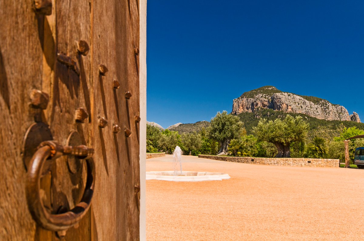 EV_SantaMaria's tweet photo. New article with tips and advice on your move to Mallorca. https://t.co/VnS0B4dfon

For more information contact us: https://t.co/bOGwk2AA7f https://t.co/gn4GY1mpj1