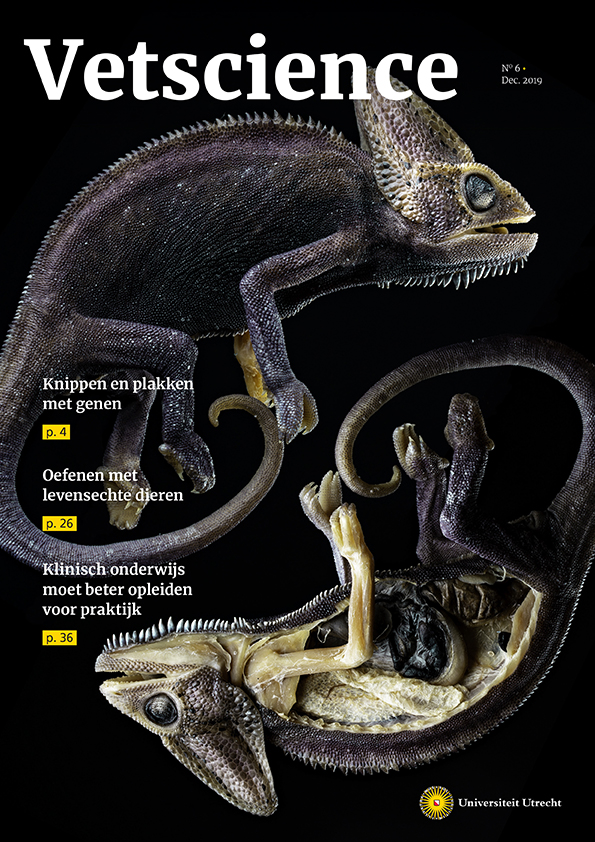 Diergeneeskunde tweet media