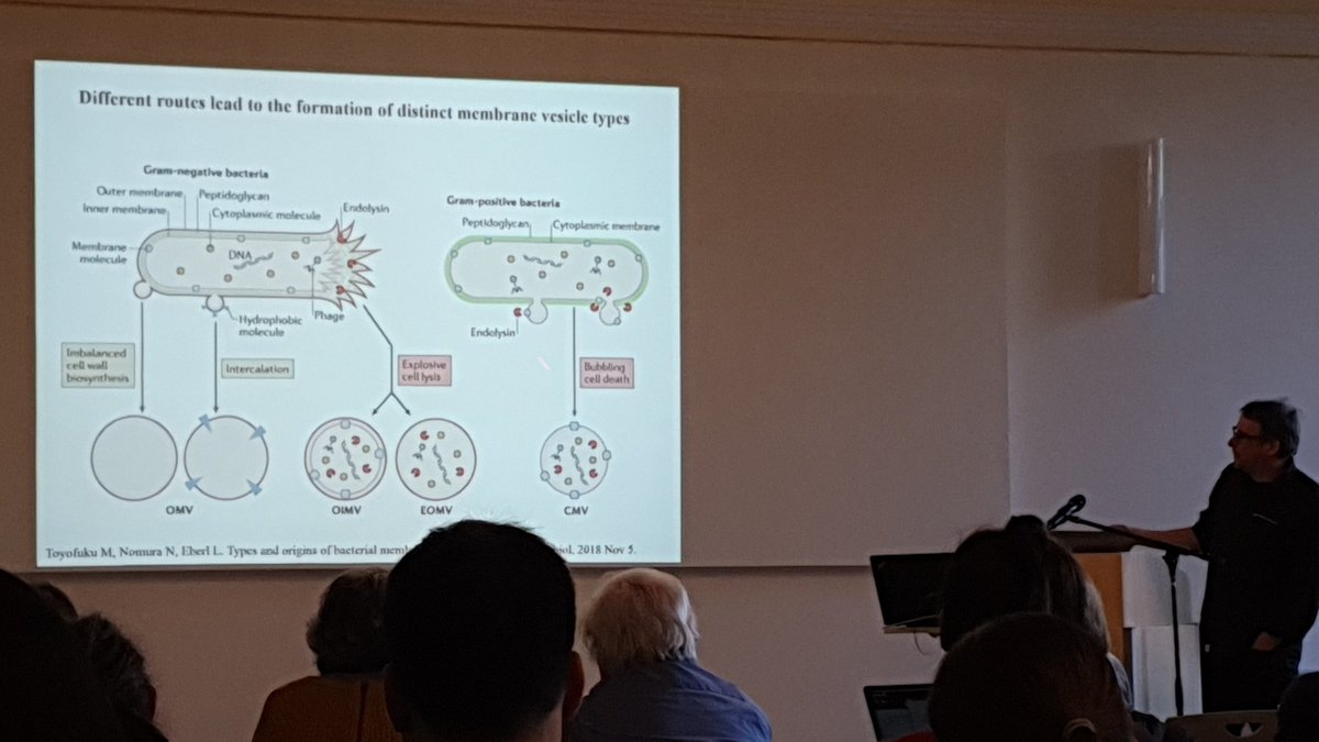 BlueGreenDR's tweet photo. Fascinating talk on bacterial membrane vesicles by Prof. Leo Eberl at the Microverse Symposium #BalanceOfTheMicroverse https://t.co/EEDmcjl7oB