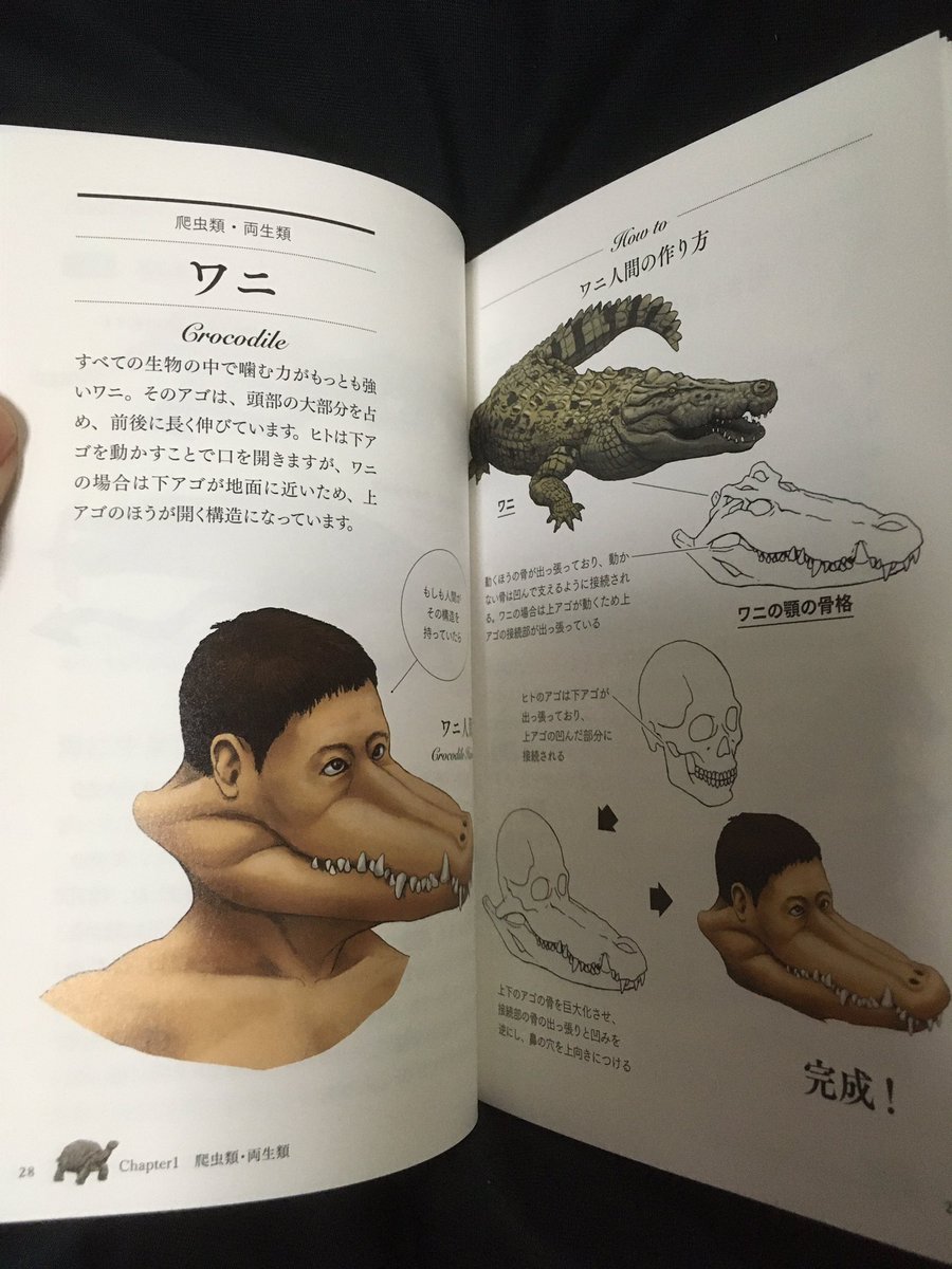O Xrhsths すけきよ Sto Twitter カメの甲羅はあばら骨 購入 T Co Izr3d5jach 内容は 真面目な動物の本なんだけど 食感は完全に マンアフターマン のそれですよw その筋にもオススメ O Xrhsths すけきよ Sto Twitter カメの甲羅はあばら骨 購入 T Co Izr3d5jach 内容は 真面目な動物の本なんだけど 食感は完全に マンアフターマン のそれですよw その筋にもオススメ