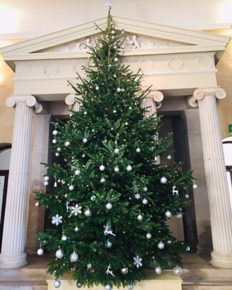 Our beautiful Christmas Tree, such a stunning backdrop for our Christmas Parties. 

#Christmas #Party #Dancingshoes #festive #ChristmasTree