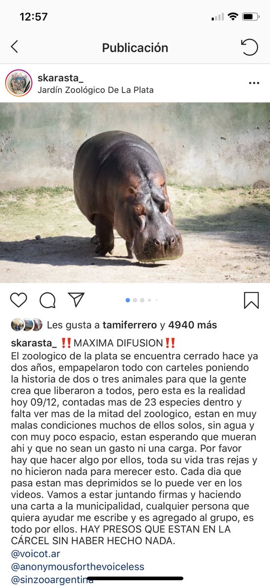 JohaPaini's tweet photo. @LaPlataMLP @JulioIrurueta @JulioGarro @vtolosapaz @AgustinScotti @eldialp 
Se están muriendo ! 
HAGAN ALGO 
Necesitan ayuda https://t.co/J5MP5GEv36