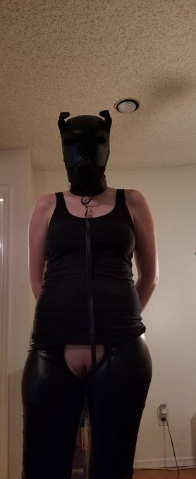 Join me?  #NSFW #PuppyPlay https://t.co/ipylGzltGo<a href="/tag/nsfw"class="tags">#NSFW</a><a href="/tag/puppyplay"class="tags">#PuppyPlay</a>
