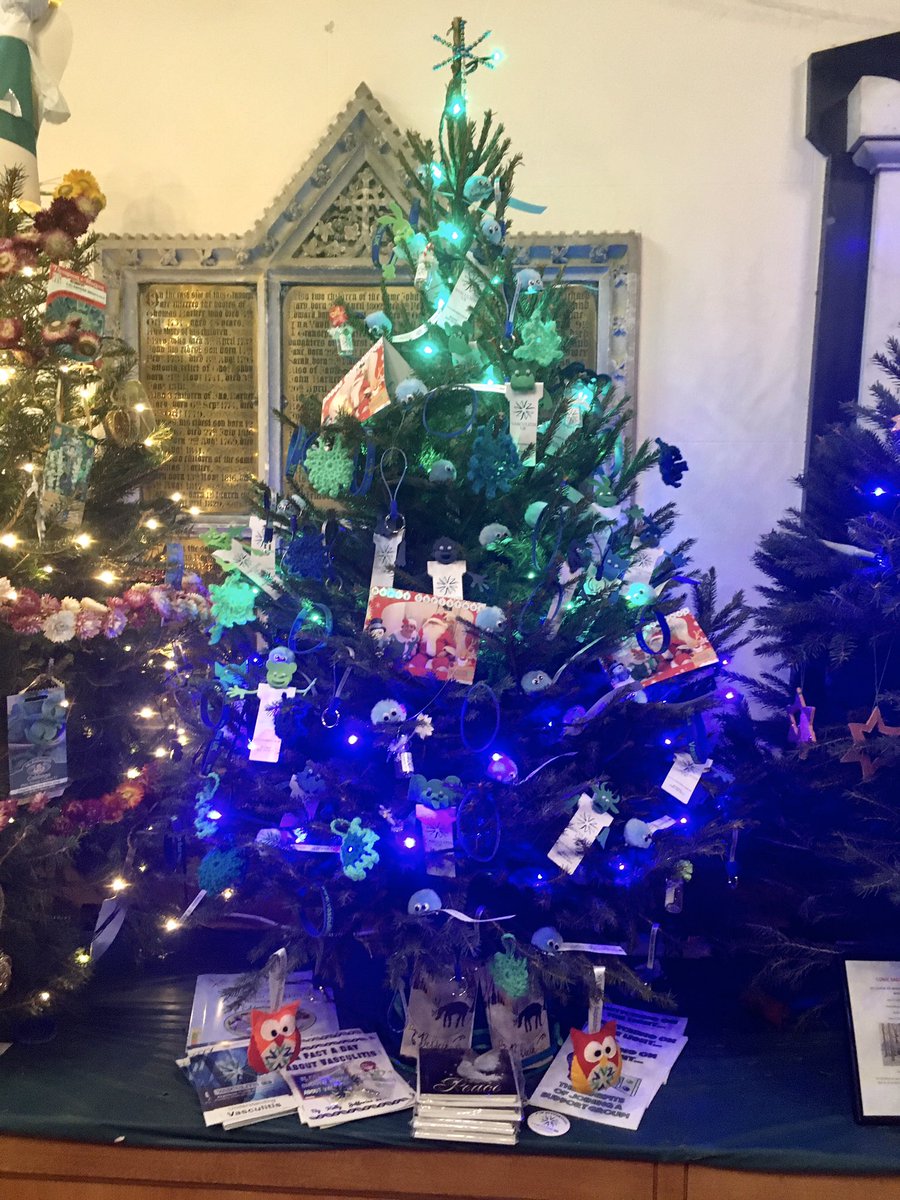 SandJMills's tweet photo. #Christmas Tree Festival #Bakewell Church #Derbyshire #PeakDistrict , if you are in or live in the area please call in and see the #VasculitisUK Awareness #Christmastree , also the amazing Bakewell Winter Well Dressing and other Christmas trees 🎄🎄🎄🎄 https://t.co/kKsm01eRhI https://t.co/Su9EJYVeH9