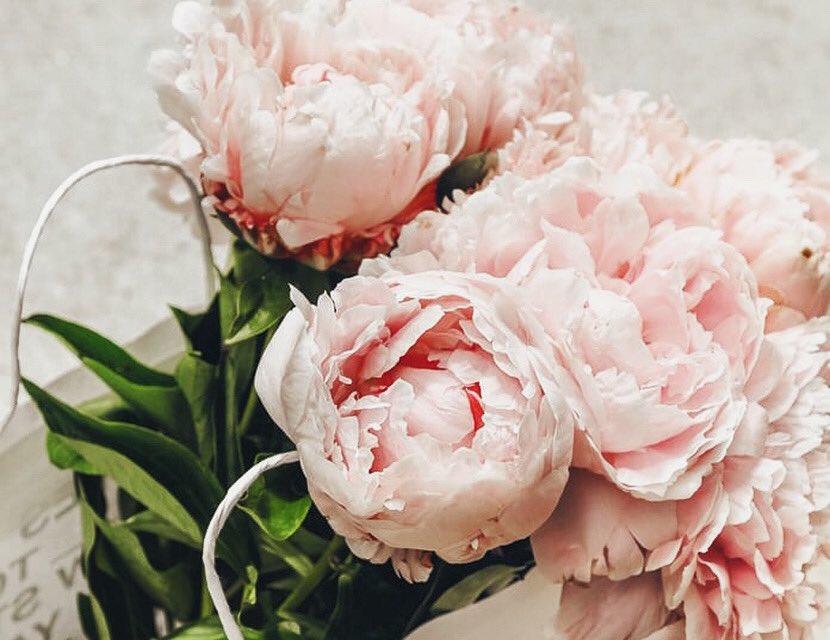 judyalaws's tweet photo. #flowersinmyfeed 🌸Happy Tuesday https://t.co/zgsd5XyYn5
#flower #flowers #flowers🌸 #flowery #nature #goodmorning #nature_good #lifestyle #instagood #beautiful #inspirational #allthingsofbeauty #flower #flowersmakemehappy #fashionista #potd #pink #simpleandstill #simplicity https://t.co/sxxYWP6HIv