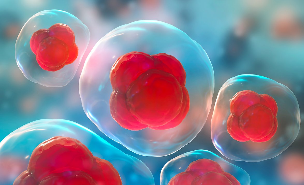 USStemCellInc's tweet photo. USRM is a leader in the regenerative medicine / cellular therapy industry. To management’s knowledge, USRM has completed more autologous stem cell clinical treatments than any other stem cell company in the world. 

#stemcell #clinicaltreatments #science #regenerativemedicine https://t.co/sUEhOBpjyu