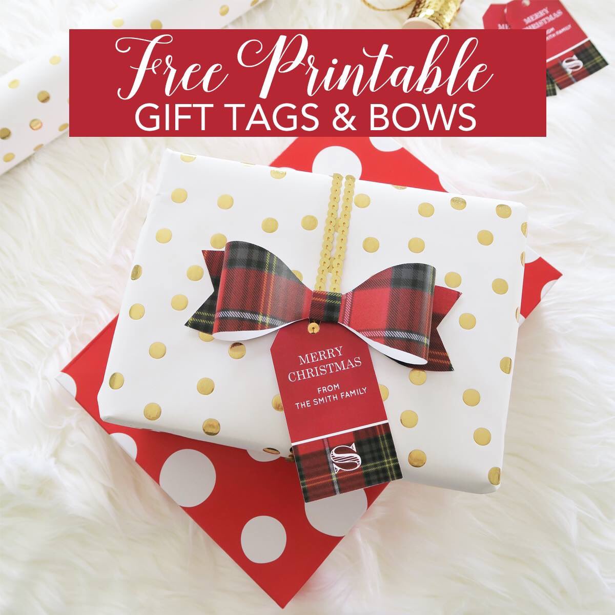 Chicfetti by Jenny Bevlin tweet media