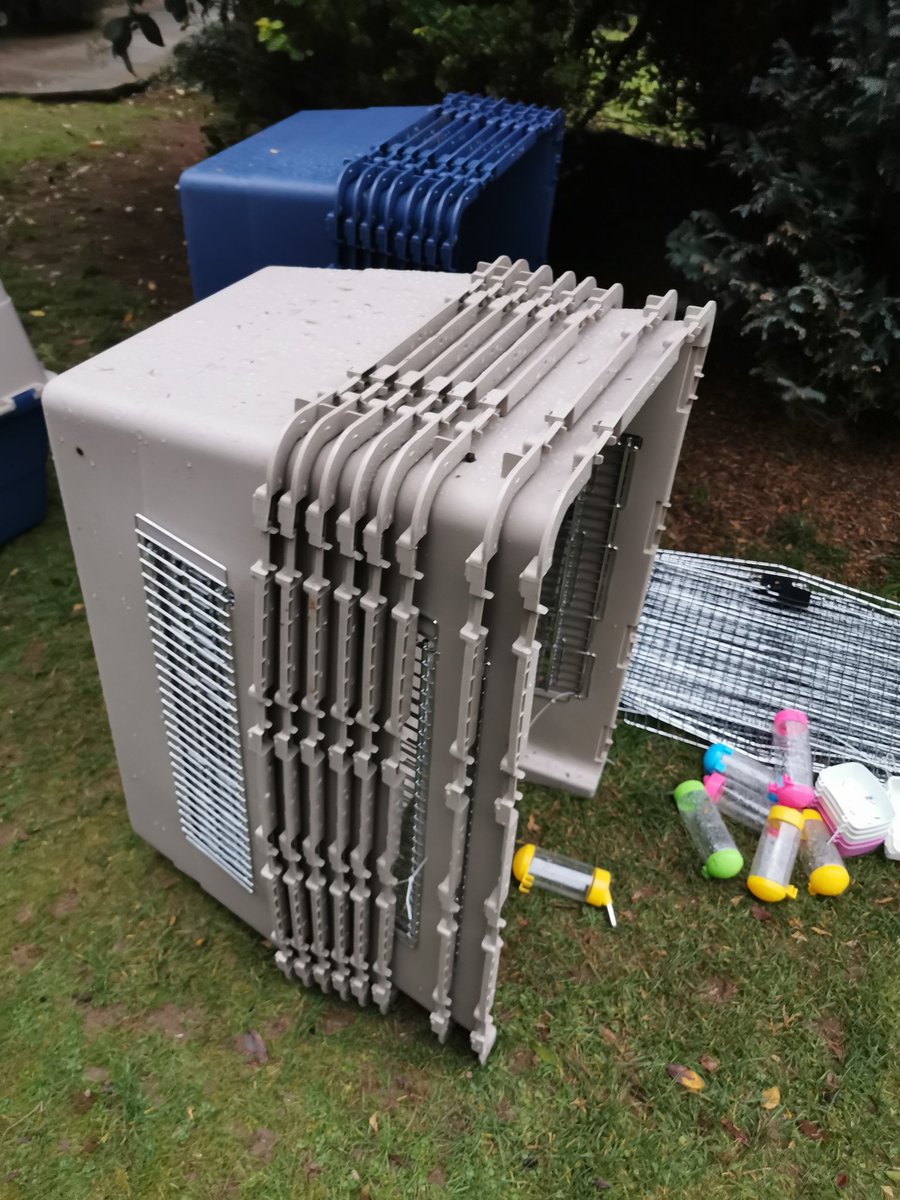 dogbus999's tweet photo. Starting to dismantle the sky kennels ready to load up to take to Romania on Friday. They will offer the street dogs shelter and warmth during their - 25 winter. Thankyou to everyone who has sent donations via post. I'm sorting it to load on to the #dogbus #romaniadogs #thankyou https://t.co/GHNuMDsGap