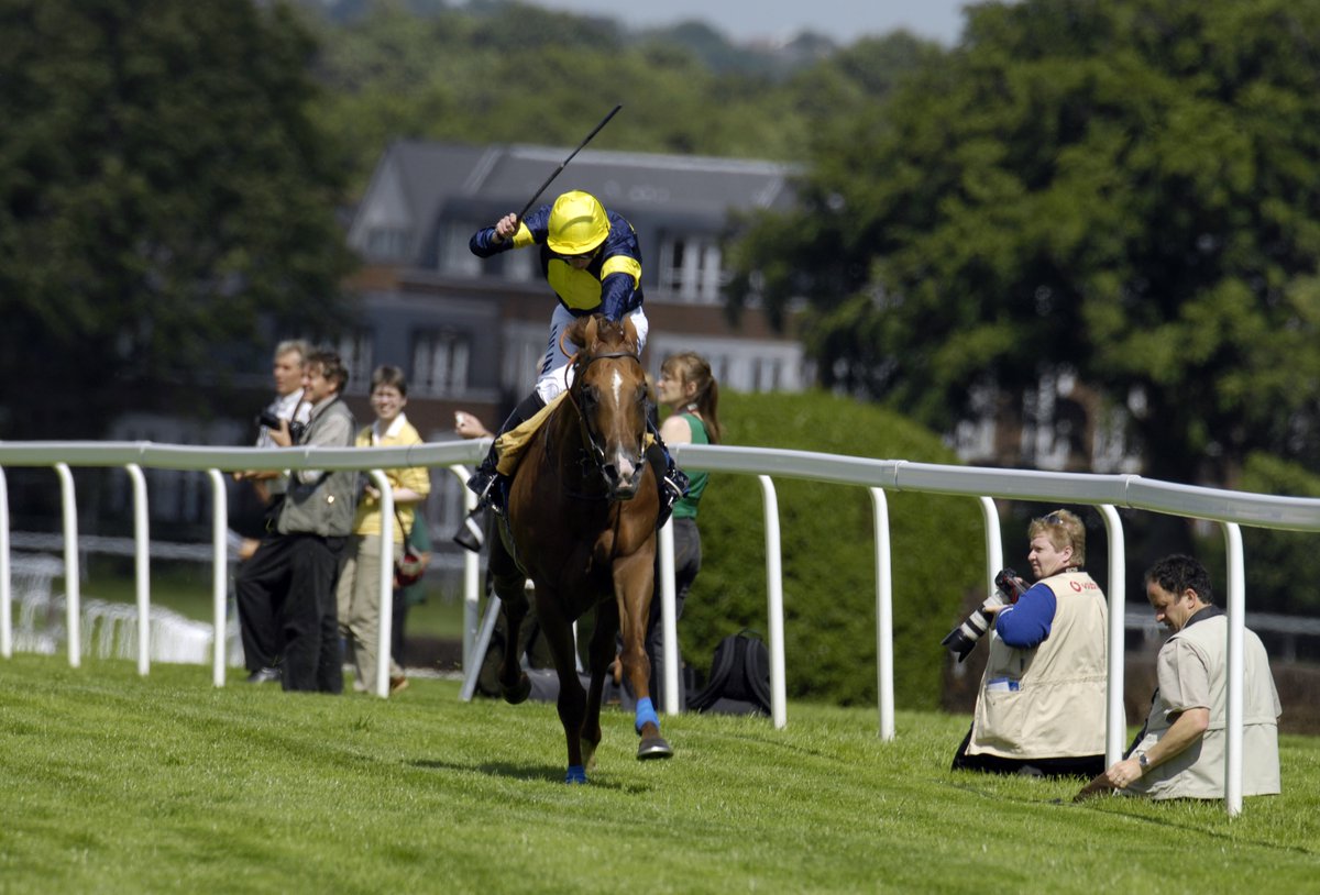 rpbloodstock's tweet photo. Sad news has emerged that three-time Group 1 winner Notnowcato died late in the covering season this year
He will be best remembered for doing this in the Coral-Eclipse of 2007 👇
Read more > https://t.co/we1sqnDtdk https://t.co/Ous9VTqqfU