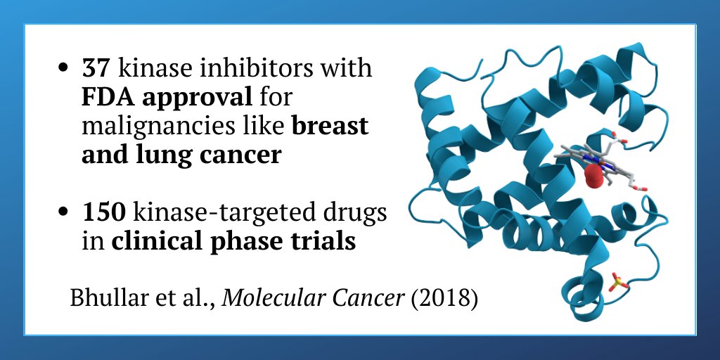 TRCIncorporated's tweet photo. Protein #Kinase Inhibitors are powering cancer research. Learn about how TRC can support your research with our range of small molecules - https://t.co/9bkiR3Vrvr
#cancerresearch #clinicaltrials https://t.co/gffsms8E1E