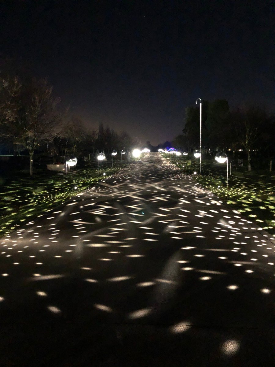Nat_Mem_Arb's tweet image. Our events team and @TheColorProject have been busy preparing for the debut of Illuminated Arboretum tomorrow night. Open to the public 11-20 December. Make sure to order your tickets now! 

To secure your tickets call 01283 245100 or visit maximweb.net/nationalmemori…