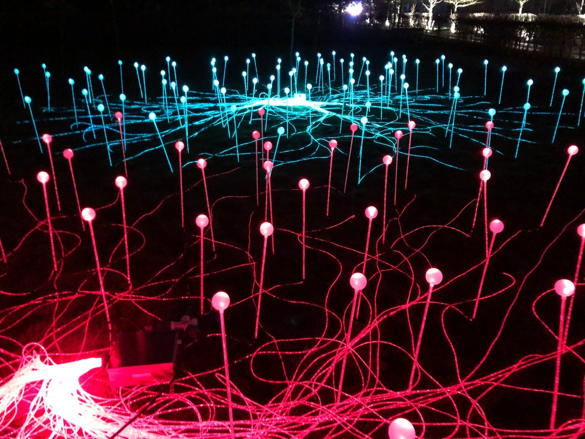 Nat_Mem_Arb's tweet image. Our events team and @TheColorProject have been busy preparing for the debut of Illuminated Arboretum tomorrow night. Open to the public 11-20 December. Make sure to order your tickets now! 

To secure your tickets call 01283 245100 or visit maximweb.net/nationalmemori…