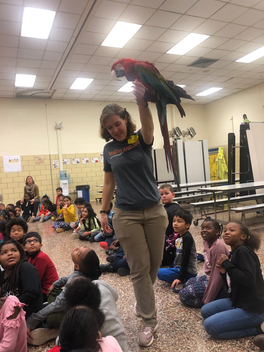 ChadwickGrade2's tweet photo. Thank you @marylandzoo  for such a great morning! These #chadwickscholars were so excited by the different animals! 🦎🦜 https://t.co/8B6ehALltl
