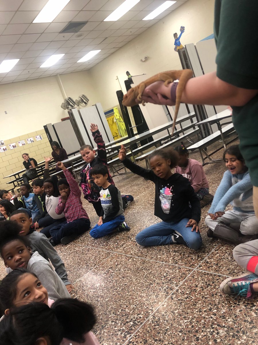 ChadwickGrade2's tweet photo. Thank you @marylandzoo  for such a great morning! These #chadwickscholars were so excited by the different animals! 🦎🦜 https://t.co/8B6ehALltl