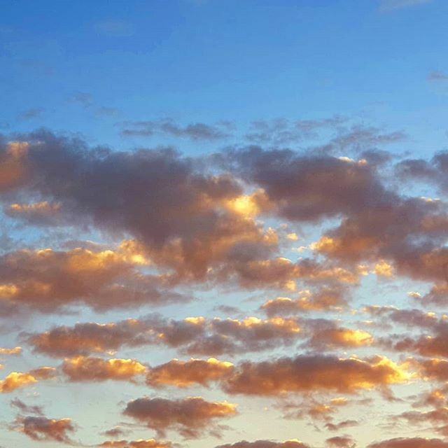 cameronstewart's tweet photo. Cloudy https://t.co/8IpMVKo1nz https://t.co/G2tiMAf2M8