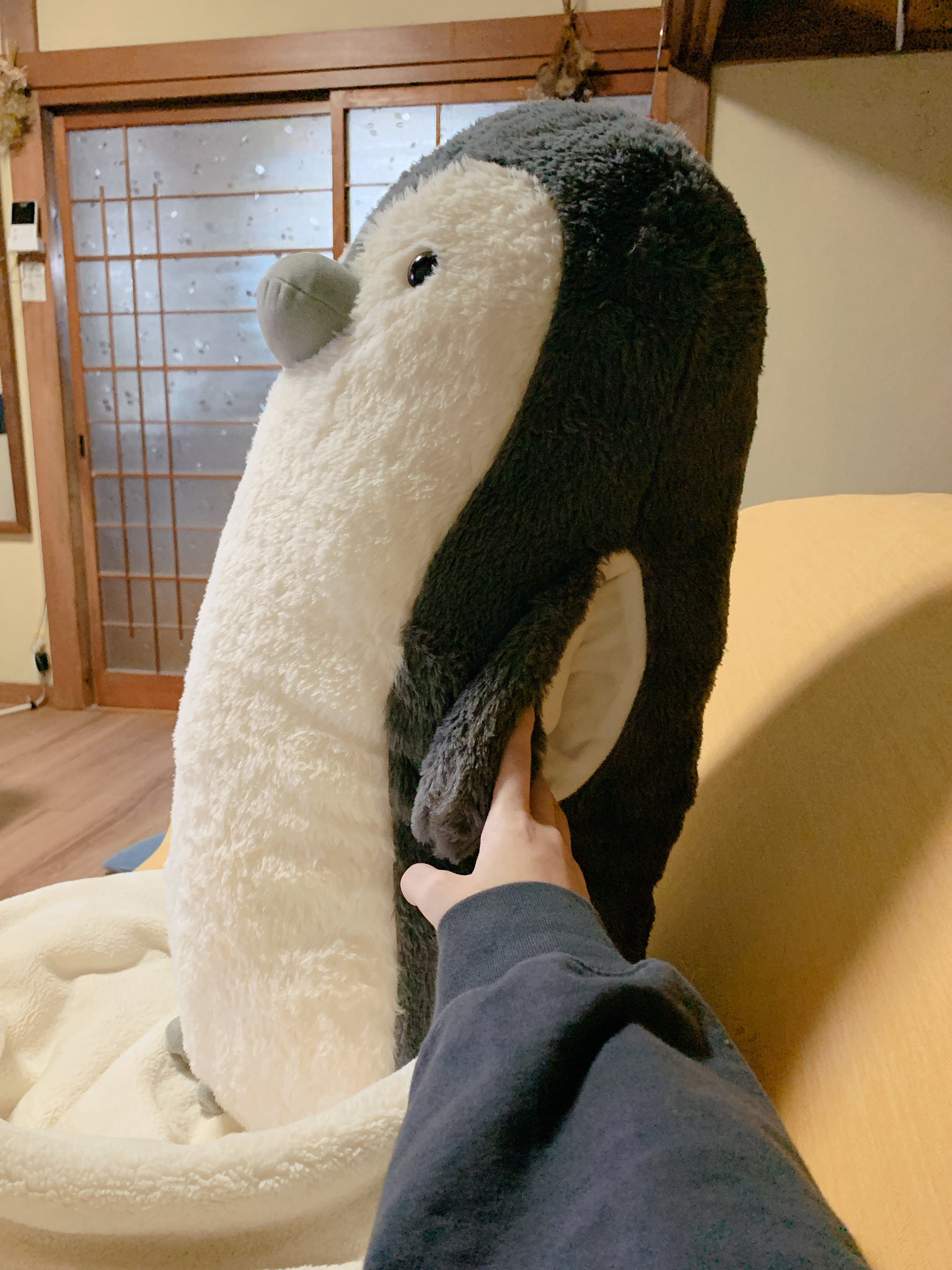 毛玉モフ ニトリのでっかいペンギン買っちゃったんだけどいいぞ 腕が通せるから片手だけ通して抱えるだけでも腕 肩にかけてすごい楽だしあったかい あと結構弾力あるからなかなか耐久ありそう T Co Iplpa6aqwx Twitter