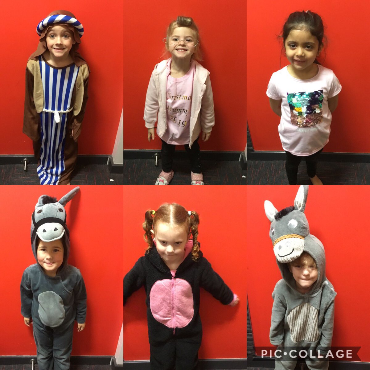 MrsWhiteRec's tweet photo. Wowzer! What an amazing performance!! We are SO proud of everyone 🥰🌟 well done to both reception classes and nursery! You are all superstars. 💫 #nativityshow @Inspire_Ashton @MissHDoyle @MissHadfield1 #proud @StevieannHilton https://t.co/PWQeEelnWV