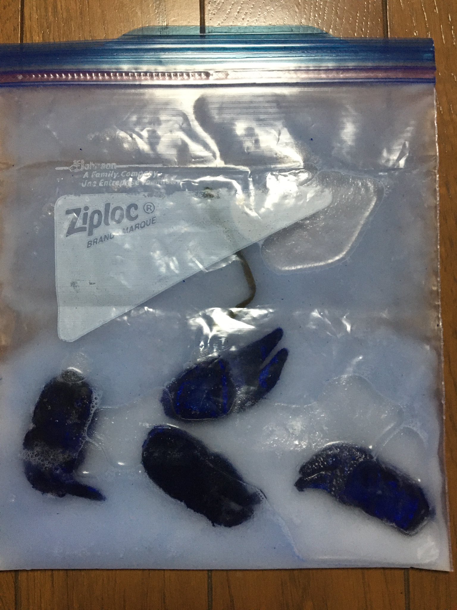 Kochira110 コレでテロテロになるん バス釣り ブラックバス アルミボート 河口湖 ポークルアー ポークフロッグ アンクルジョッシュ メルトダウンパウダー 重曹 T Co U34sj9xqxb Twitter Kochira110 コレでテロテロになるん バス釣り ブラックバス アルミボート 河口湖 ポークルアー ポークフロッグ アンクルジョッシュ メルトダウンパウダー 重曹 T Co U34sj9xqxb Twitter