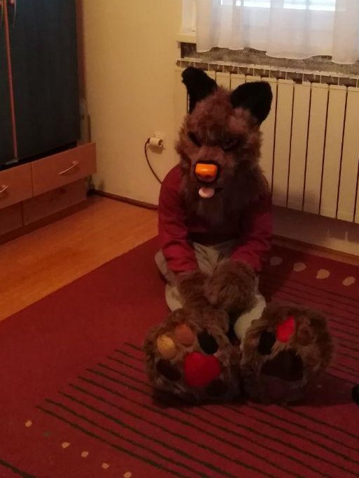 dubwuffy's tweet photo. Hello how are you today

I am new here

#furry #furryfandom https://t.co/BooF4RdxHB