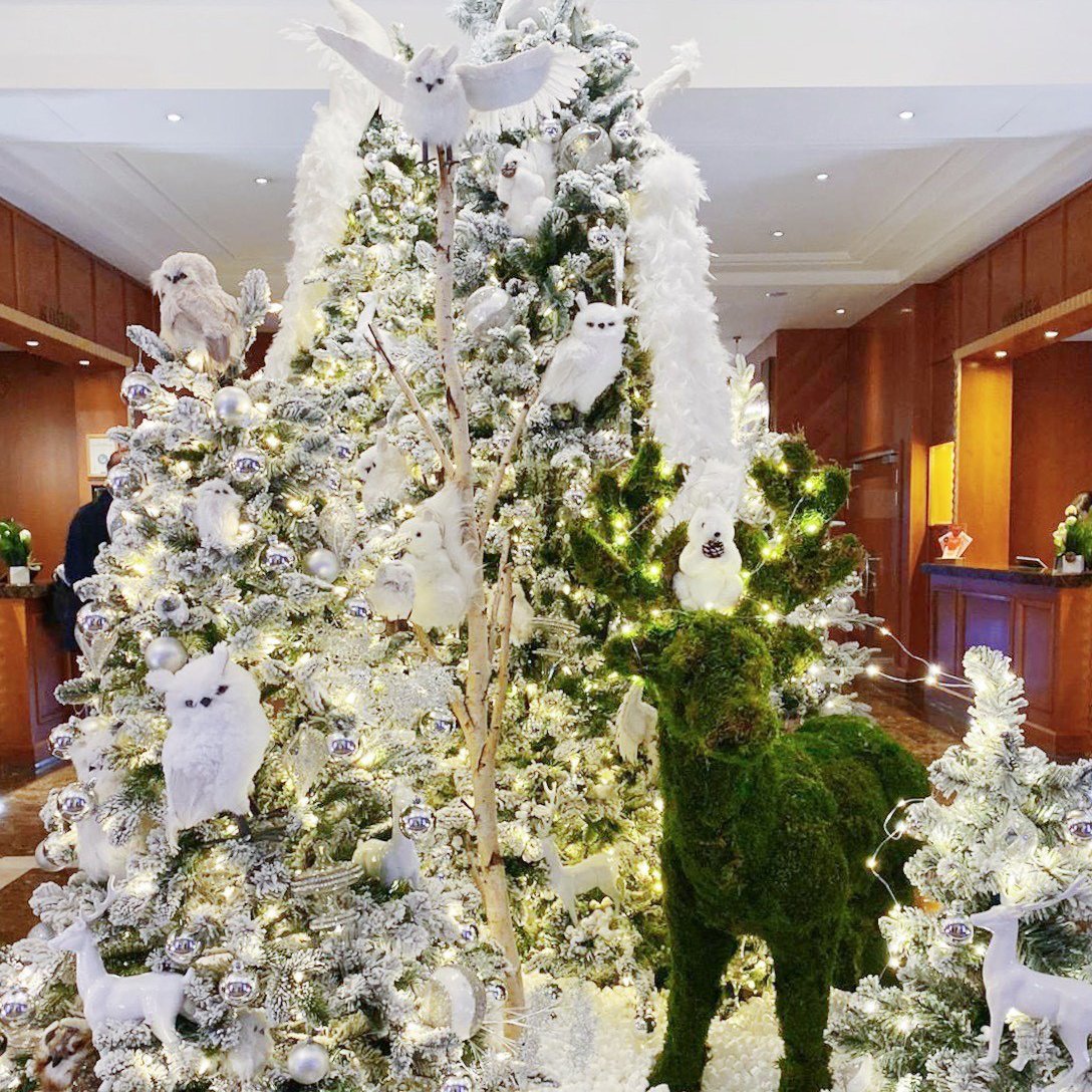 PalaisMed's tweet photo. Welcome to our Winter wonderland! #Christmas #ChristmasTree #ChristmasCountdown #holidayseason #hyatt #athyattregency #ilovenice #cotedazurfrance #ifeelniceinnice #cotedazur #wanderlust #winterbreak https://t.co/NJ7AgJ8gqG