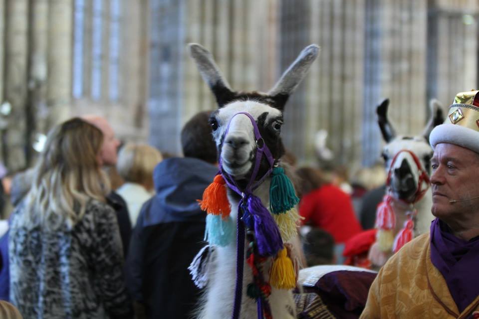 ExeterNativity's tweet photo. Even more pictures from past years. Come along this Sunday to @ExeterCathedral for this year’s #ExeterNativity. 2pm around the city centre. 3pm in the cathedral. https://t.co/gLWkoWRBsz