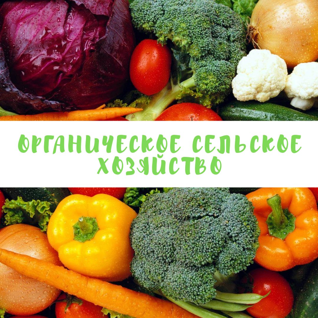 BelalLibrary's tweet image. Органическое сельское хозяйство-БАЗА ДАННЫХ

Основная тематика базы данных:
- Органическое сельское хозяйство.
- Биологическое земледелие.
- Органическое животноводство.
- Экологически безопасные технологии в сельском хозяйстве и т.п.

catalog.belal.by/cgi-bin/irbis6…